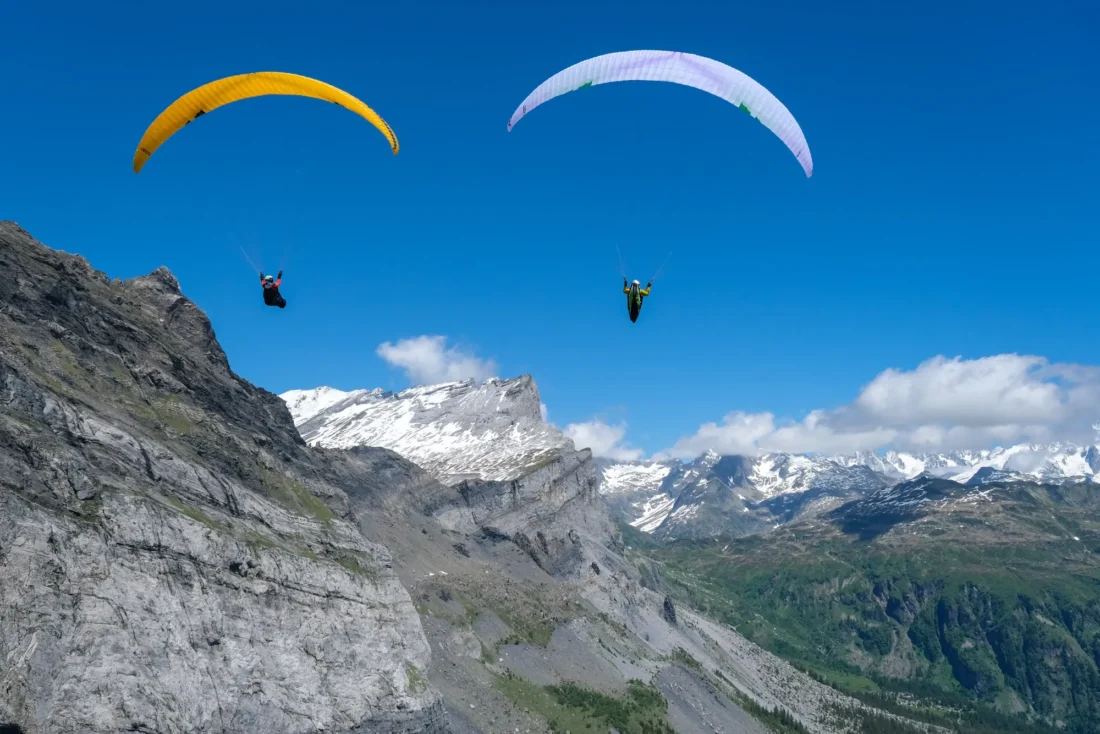 Ozone Swift 6 — photo 1