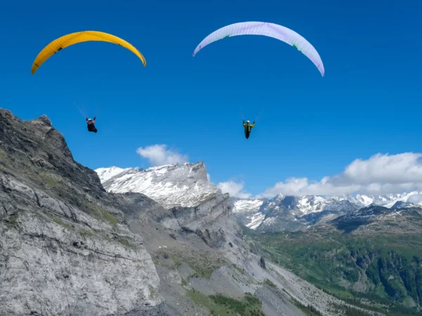 Ozone Swift 6