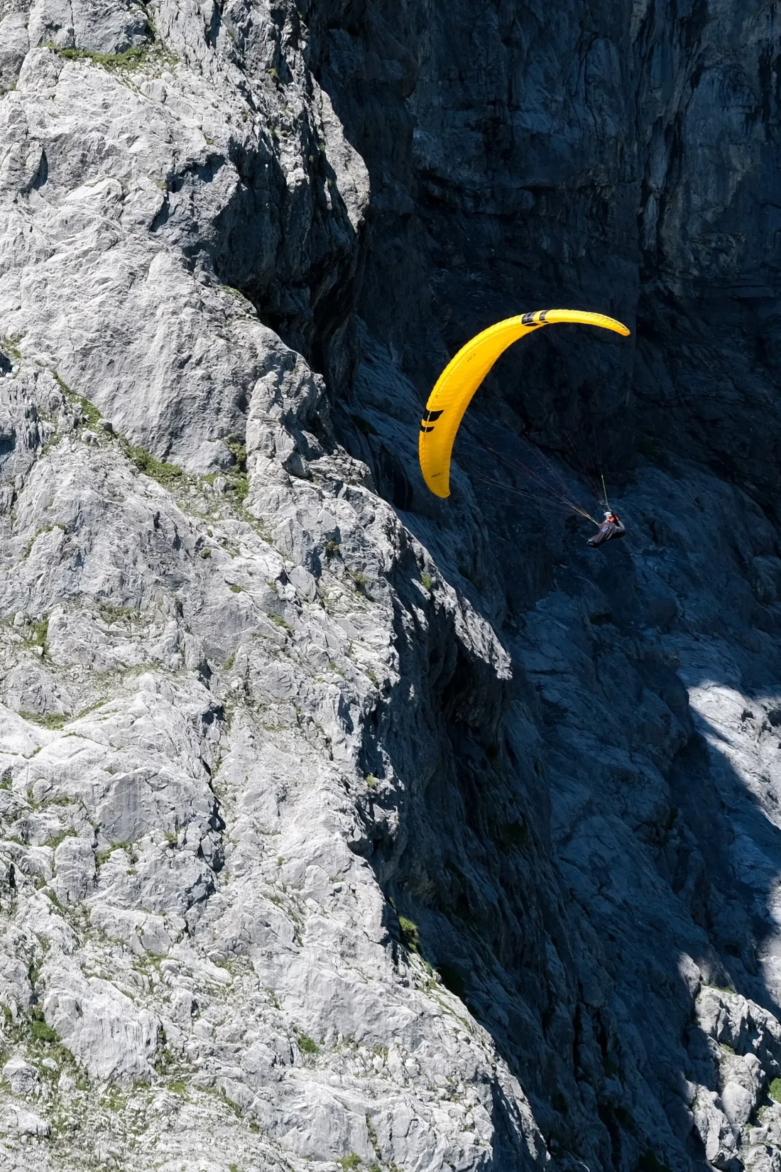 Ozone Swift 6 — photo 4